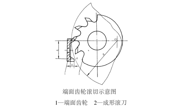 端面齒輪成形滾切加工說明（供參考了解）